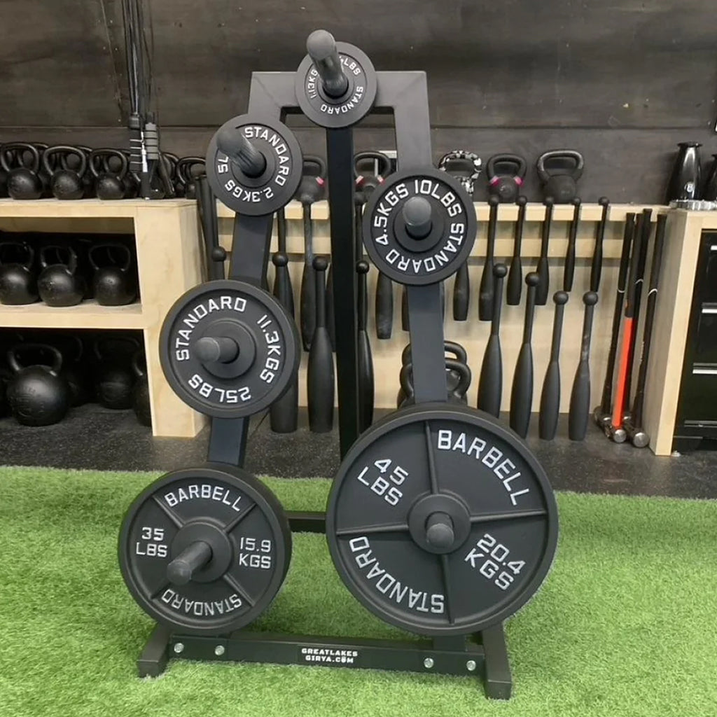 Disco Olimpico de Hierro Fundido de 5 lb image 3