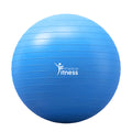 Pelota Suiza Practical Fitness Azul de 65 cm image 0