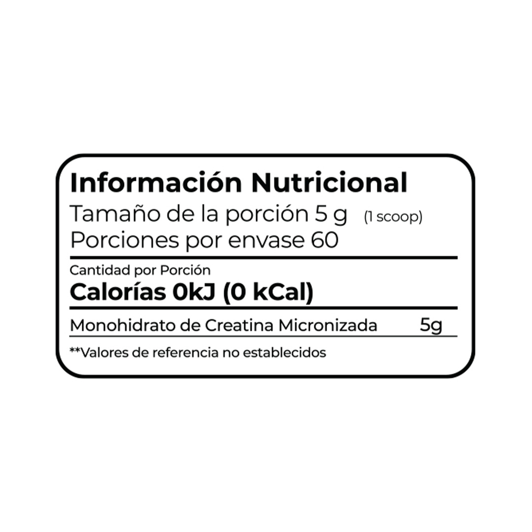 Creatina Monohidratada Blast sin Sabor de 290 g 2